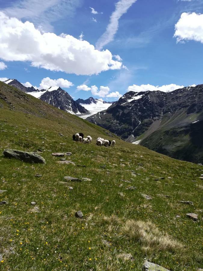 Hotel Haus Pechtl Sankt Leonhard im Pitztal Exteriér fotografie