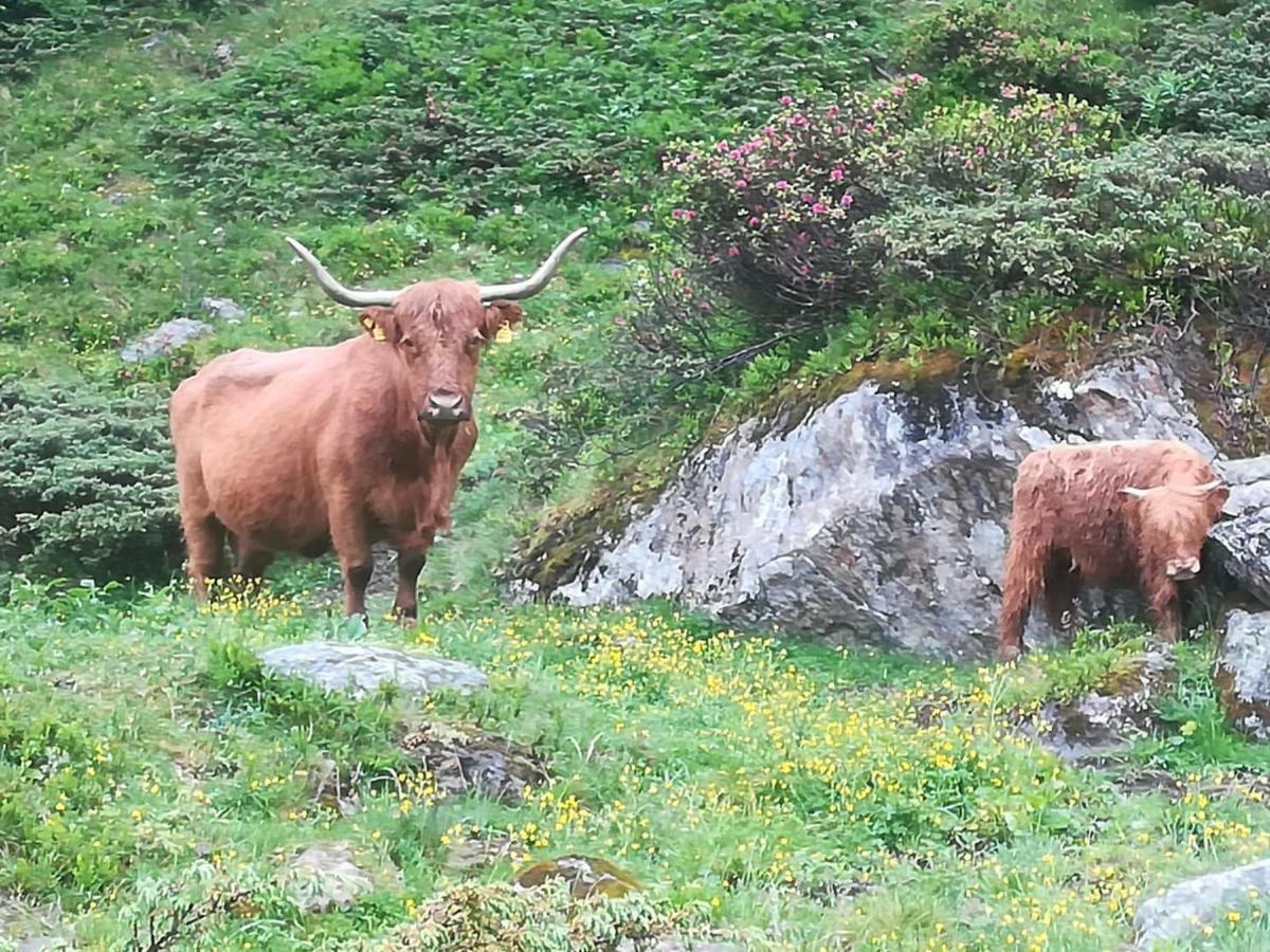 Hotel Haus Pechtl Sankt Leonhard im Pitztal Exteriér fotografie
